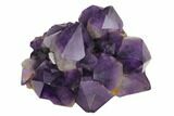 Beautiful, Purple Amethyst Crystal Cluster - Congo #148656-1